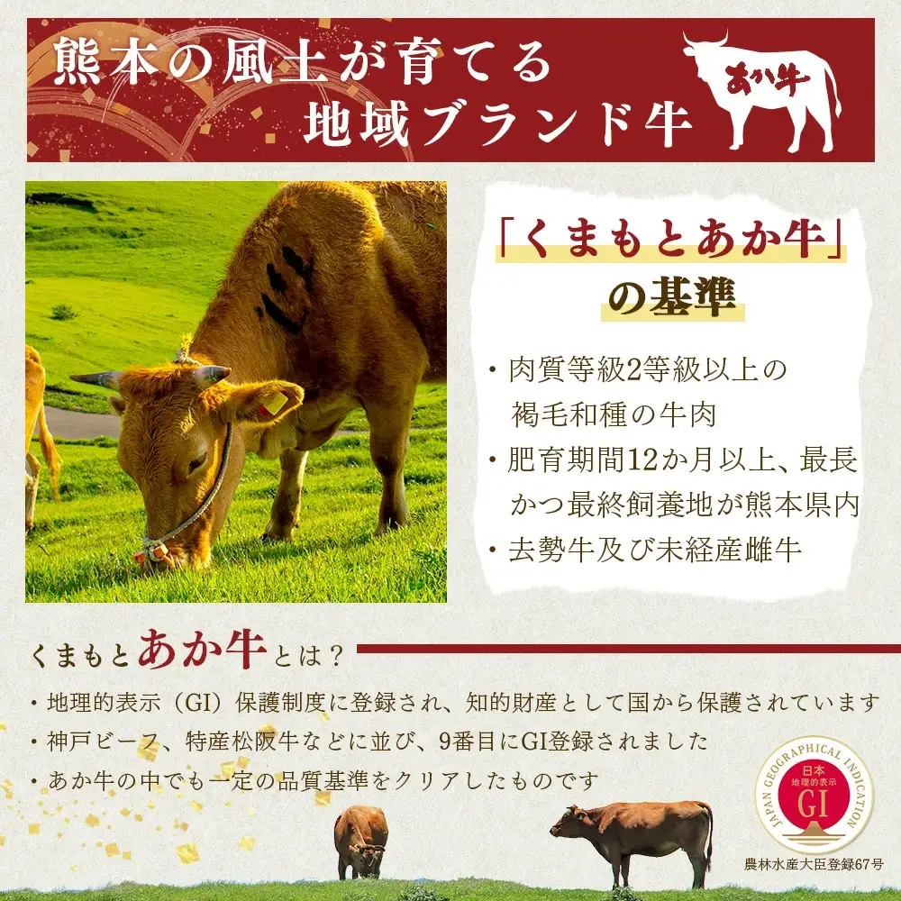 【GI認証】くまもと あか牛 ハンバーグ《ご家庭用》150g×10個 あか牛100％ 赤身 冷凍 熊本県産 あかうし はんばーぐ 惣菜 おかず 和牛 牛肉 073-0409