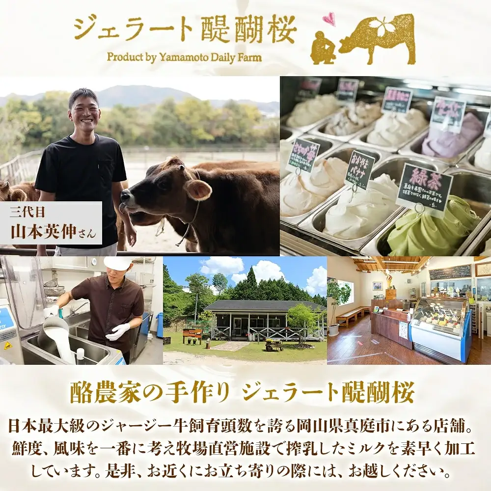 【ジェラート醍醐桜】恋するジャージーPremium2種 （ゴールデンミルク＆焼きかぼちゃ）計8個セット / 岡山 真庭 【nhss026-01】
