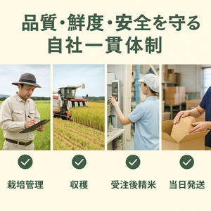 【令和8年産先行予約】新米 5kg たはらのお米