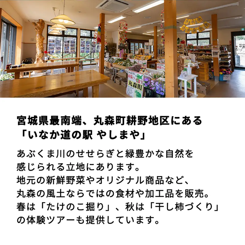 【丸森町特産】 たけのこカレー5個【08109】