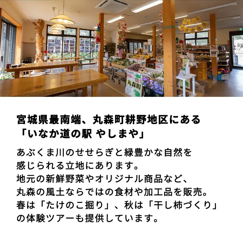 たけのこカレー1人前×4個セット【0802201】