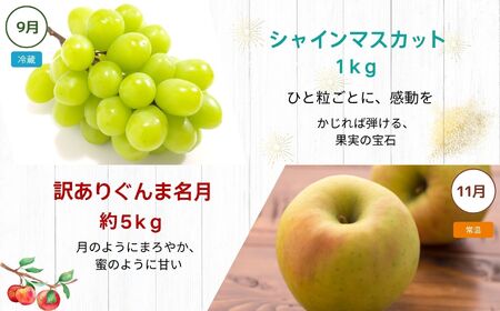 【定期便6回】松川村の魅力が詰まった 満喫セット | 定期便 セット 季節限定 りんごジュース リンゴジュース おやき まんじゅう カステラ かすてら 洋菓子 豚まん シャインマスカット りんご リンゴ 林檎 ぐんま名月 フルーツ 果物 長野県 松川村 信州