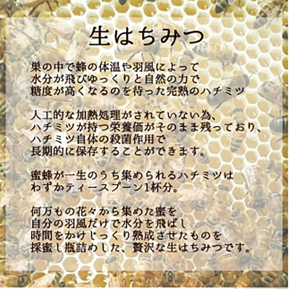 丸森町産純粋 生はちみつ「心」140g×10個【13104】