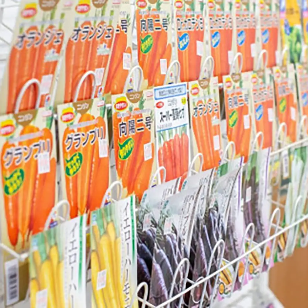 季節のおすすめ野菜おまかせ詰め合わせBOX 8種～12種類 大容量サイズ【16102】