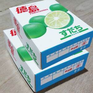 内谷農園 低温貯蔵すだち 家庭用 2kg