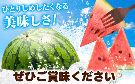 紀州和歌山産 小玉スイカ 「ひとりじめ」 2玉 