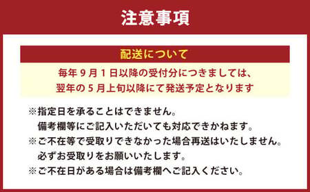 【先行予約】水なすの浅漬け 12個 +水ナスコンフィチュール （期間限定）【2026年5月上旬から9月上旬発送予定】