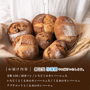 全粒粉パン ６種入り セット 全粒粉 CT03