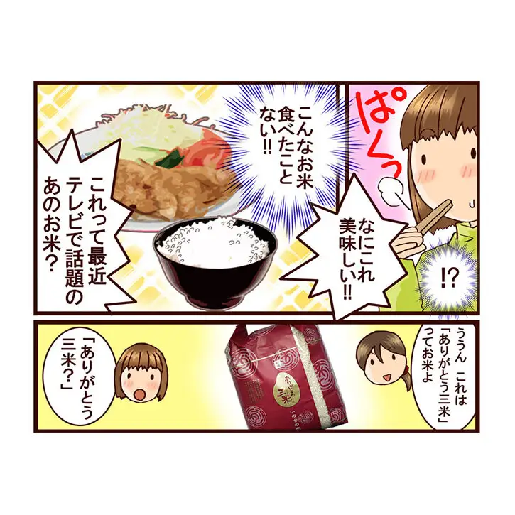 いのちの壱 新潟県産 白米 定期便 いのちの壱【5kg×4回】【定期便】【先行予約】