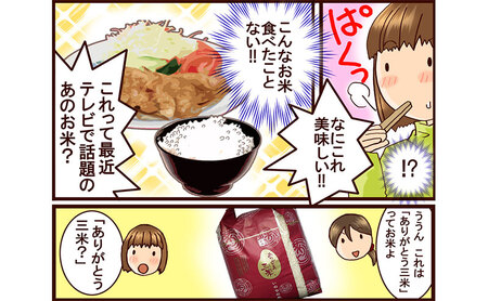 いのちの壱 新潟県産 白米 定期便 いのちの壱【5kg×12回】【定期便】
