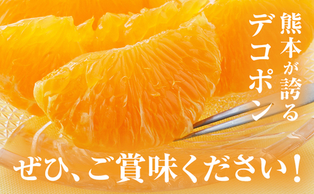 デコポン 約5kg 日本フルーツ株式会社 熊本県 荒尾市 《12月中旬-4月上旬頃出荷》 デコポン 果物 秀品 フルーツ スイーツ デザート ギフト ご贈答