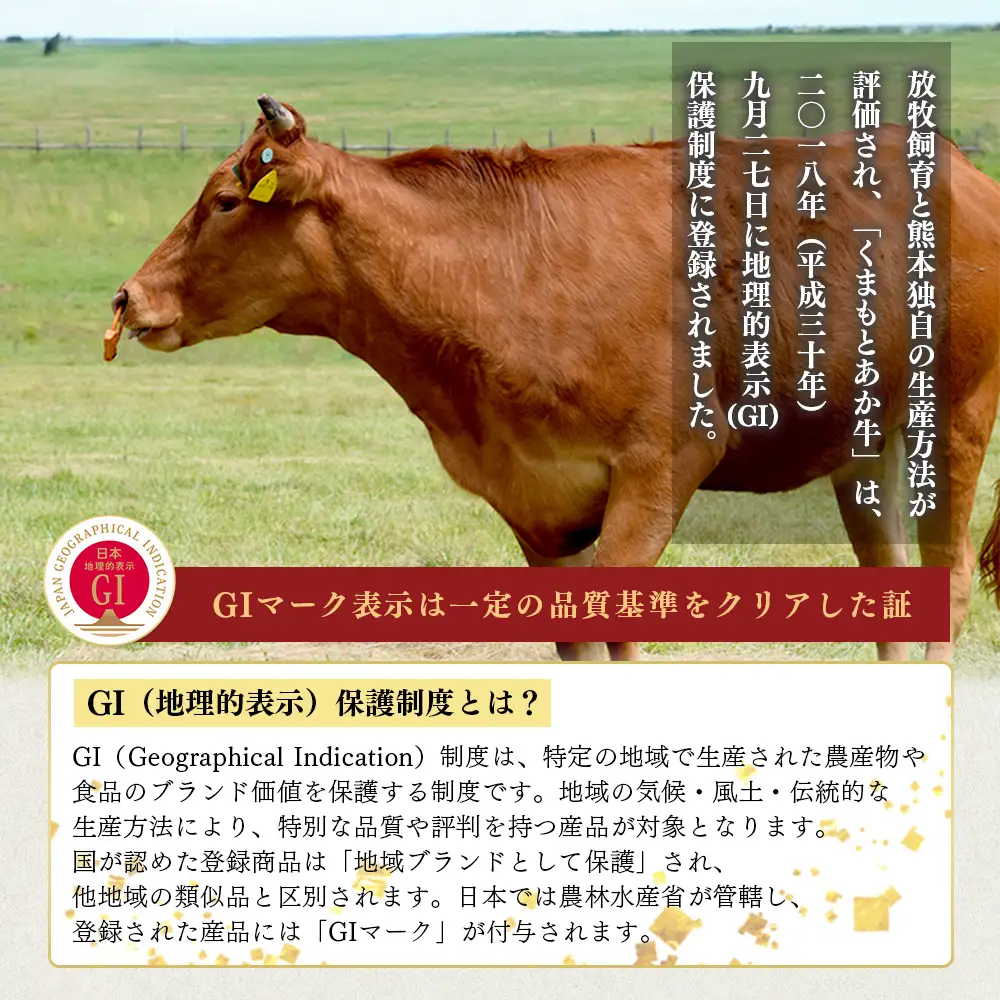 【GI認証】くまもとあか牛ハンバーグ 150g×6個 《ご家庭用》 あか牛 100％ ハンバーグ 赤身 冷凍 熊本県産 あかうし はんばーぐ 惣菜 おかず 和牛 牛肉 オオツカ 073-0413