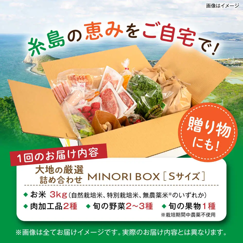 【全4回定期便】糸島産 肉 米 野菜 果物 厳選詰め合わせ MINORI BOX Sサイズ【季節ごとに年4回お届け】 糸島市 / emma.Inc / 米 肉 野菜 果物 詰め合わせ [AOP001]