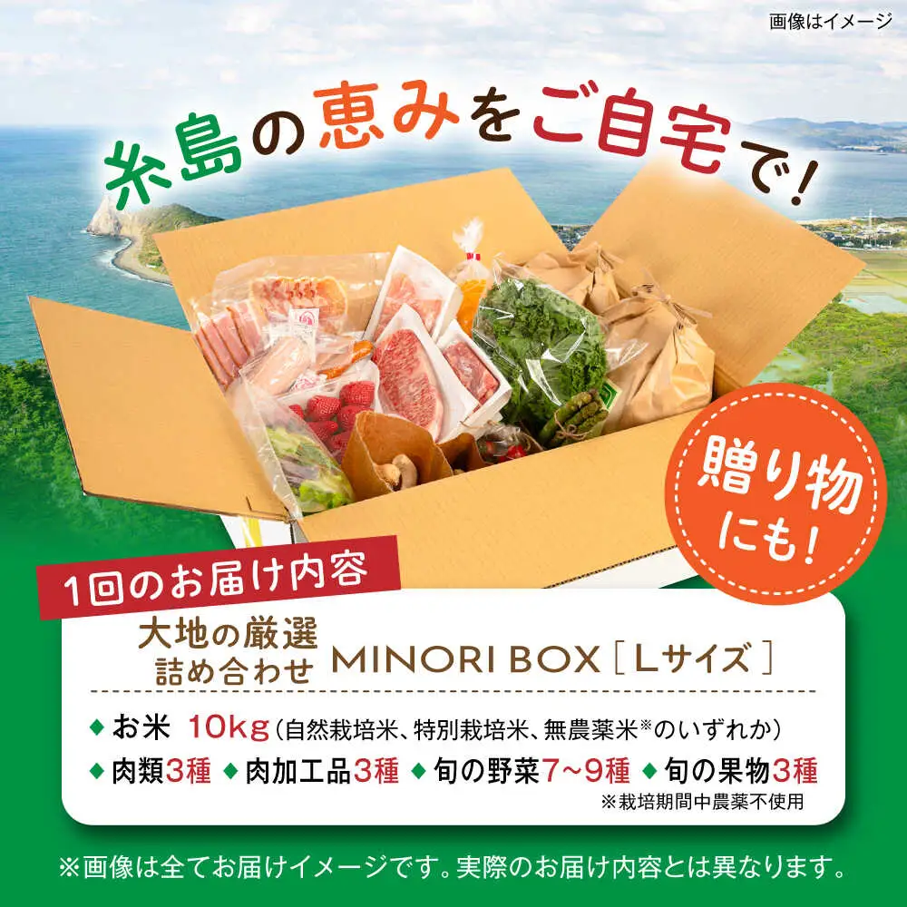 【全4回定期便】糸島産 肉 米 野菜 果物 厳選詰め合わせ MINORI BOX Lサイズ【季節ごとに年4回お届け】 糸島市 / emma.Inc / 米 肉 野菜 果物 詰め合わせ [AOP003]