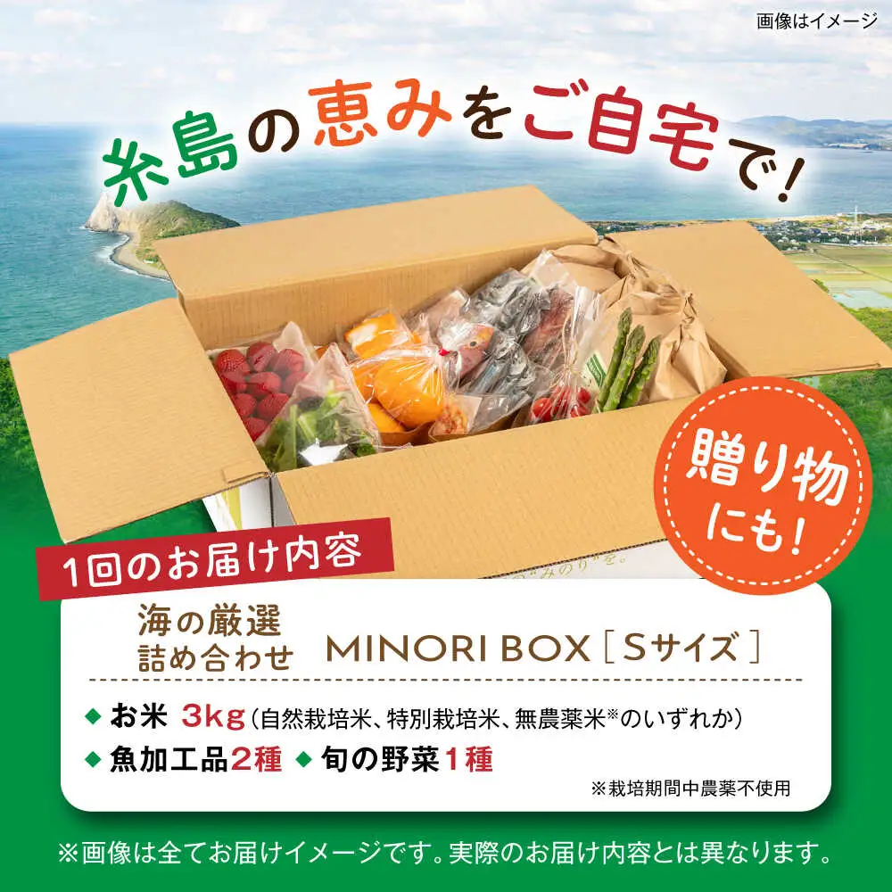 【全4回定期便】 糸島産 魚 米 野菜 果物 厳選詰め合わせ MINORI BOX Sサイズ【季節ごとに年4回お届け】　糸島市 / emma.Inc / 米 魚 野菜 詰め合わせ [AOP004]