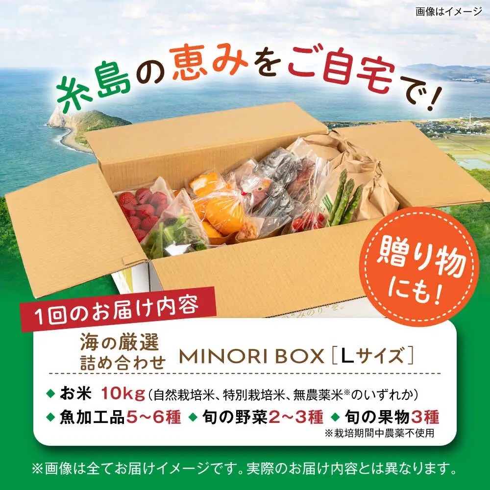 【全4回定期便】 糸島産 魚 米 野菜 果物 厳選詰め合わせ MINORI BOX Lサイズ【季節ごとに年4回お届け】　糸島市 / emma.Inc / 米 魚 野菜 果物 詰め合わせ [AOP006]