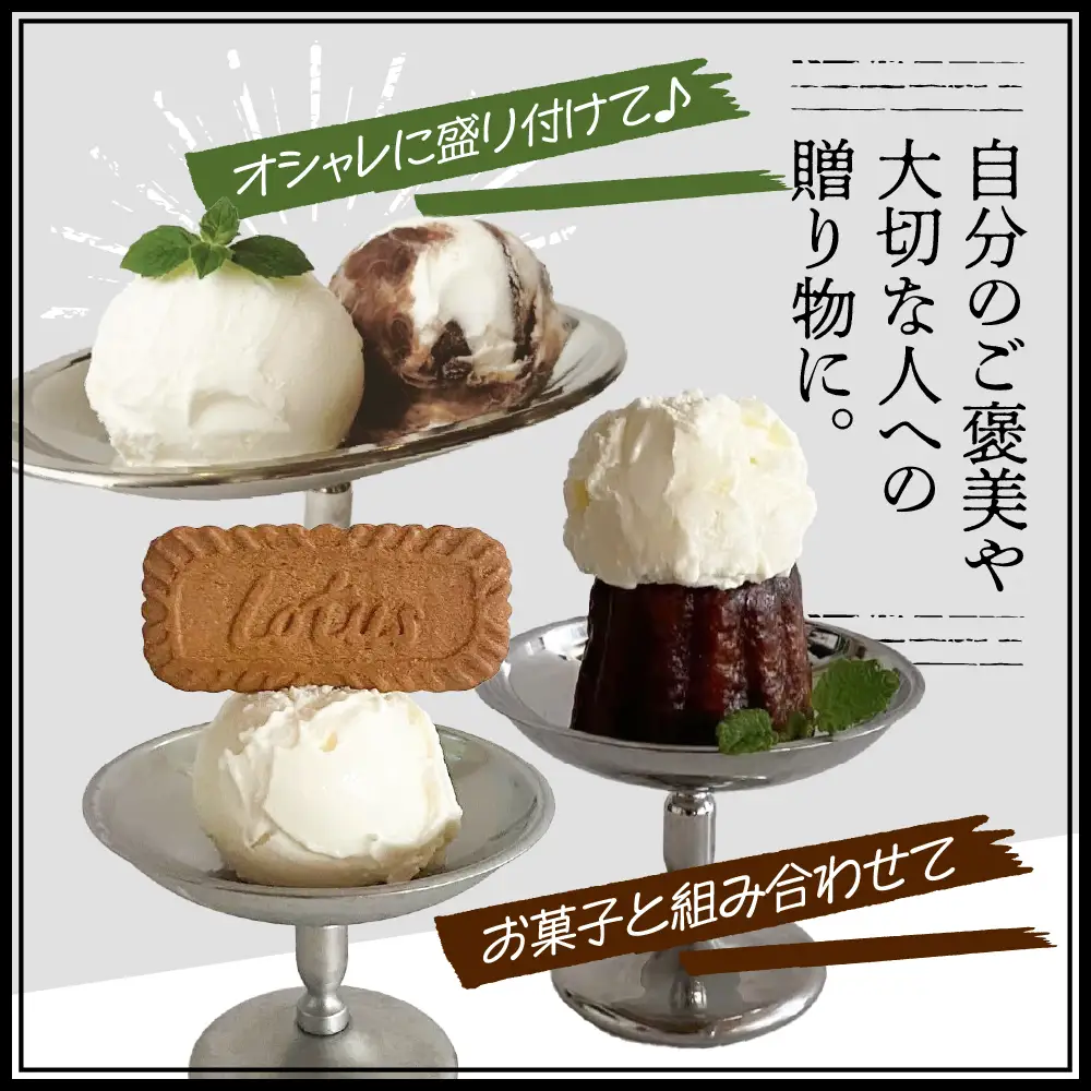 【10月配送】とよとみ牛乳ソフトクリーム 3種類12個 ソフトクリーム