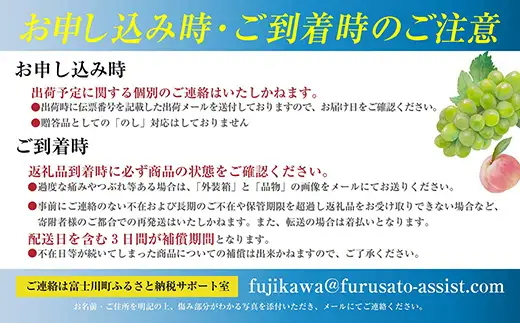 【数量限定】クイーンセブン ３～４房（1.2～1.5kg）