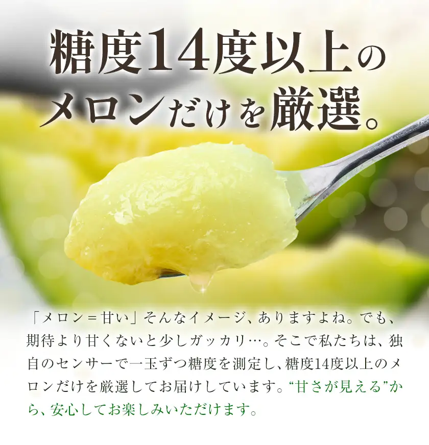 アールスメロン 2玉 Lサイズ メロン《9月上旬-12月上旬頃出荷》熊本県 菊池市 果物 フルーツ 青果物 菊池市産 熊本県産 九州産 国産 送料無料