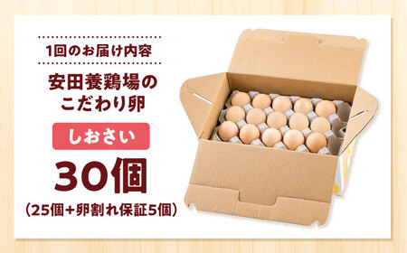 【全3回定期便】たまご 30個入り [AKHN008]たまご