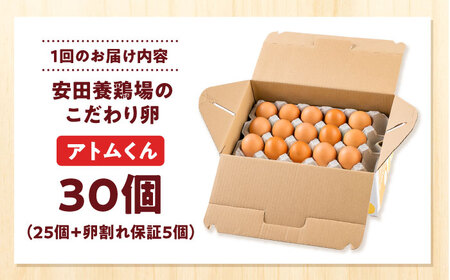 【全3回定期便】安田養鶏場の卵 アトムくん 30個入り 横須賀市 産地直送 割れ保証付き たまご 黄身 濃厚 卵 玉子 タマゴ 鶏卵 【安田養鶏場】[AKHN009]