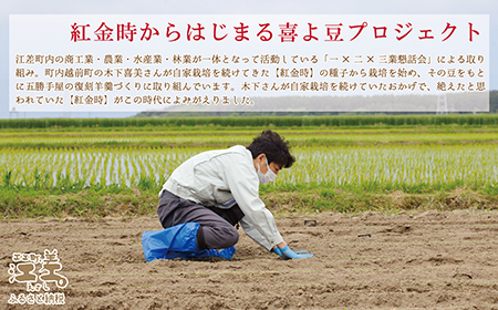 【数量限定】五勝手屋本舗『丸缶羊羹　過去・現在・未来』5本セット　五勝手屋羊羹の「かつて・いま・これから」　金時豆　大正金時　紅金時　秋晴れ　ようかん　復刻　保存料不使用　老舗　和菓子　銘菓　ギフト　贈答