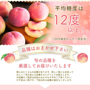 【来年2027年出荷分 先行予約】　山梨の桃　約2kg　白鳳 白桃　おまかせ　【tab0182】