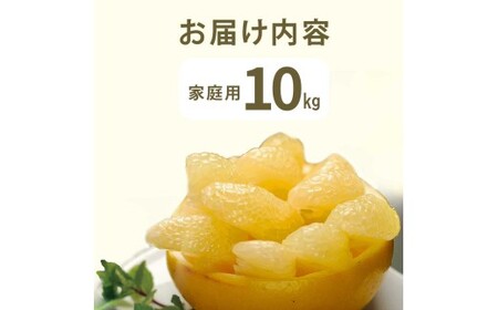 【先行予約】　文旦 約10kg 10キロ L?4Lサイズ〈2027年2月上旬から順次発送〉 土佐文旦 みかん 柑橘 ぶんたん ブンタン 果物 フルーツ デザート おやつ 三愛果樹園の土佐文旦 おいしい 美味しい【三愛果樹園】[BQAO013] [BQAO013]