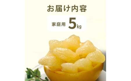 【先行予約】　文旦 約5kg 5キロ L〜4Lサイズ〈2027年2月上旬から順次発送〉 土佐文旦 みかん 柑橘 ぶんたん ブンタン 果物 フルーツ デザート おやつ 三愛果樹園の土佐文旦 おいしい 美味しい【三愛果樹園】 [BQAO012]