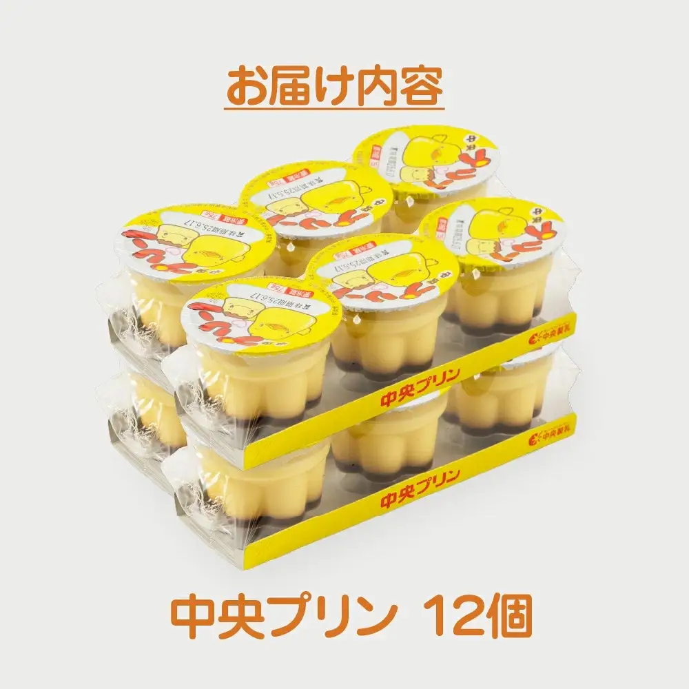 プリン3p 6個セット プリン 中央製乳