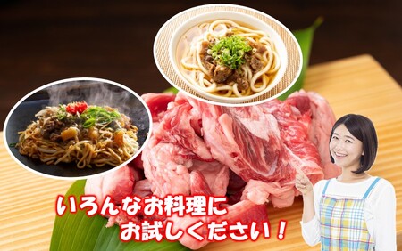 【期間限定 9月30日まで】豊後牛 牛すじ肉 1.0kg （500g×2P）スジ 牛筋 黒毛和牛 国産 煮込み料理_2591R-1