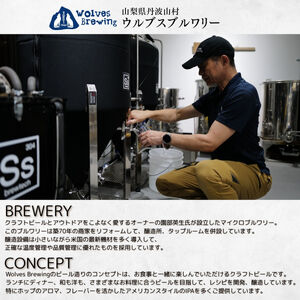 クラフトビール IPA 12本 ビール【tab0222-12】