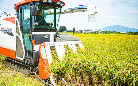 令和7年産 にじのきらめき 10kg ( 5kg × 2袋 )