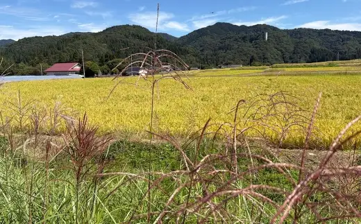五城目町産 雑穀セット ヒエ・アワ・キビ 各1kg 雑穀 雑穀米 秋田県産 お米 ご飯 ライス rice 栄養 健康【配達不可：沖縄県・離島】