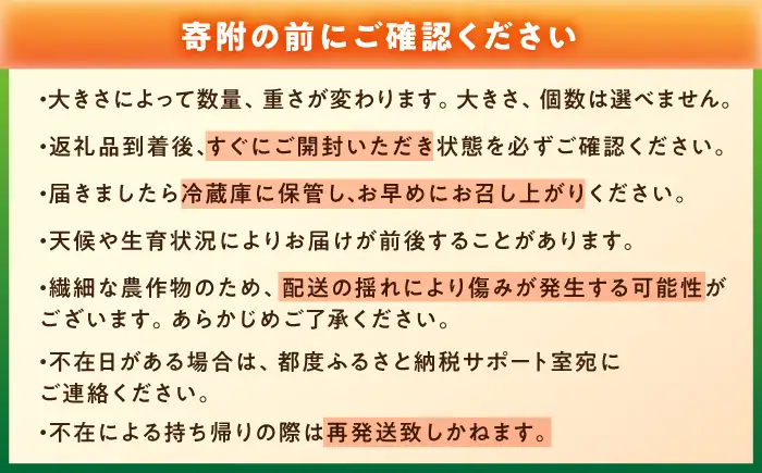 王様トマト 約4kg  [AUDS002]トマト