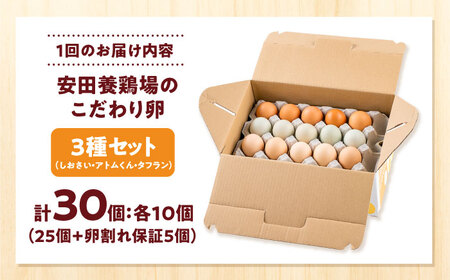 【全3回定期便】安田養鶏場の卵 3種セット しおさい アトムくん タフラン 30個入り（各10個入り） 横須賀市 産地直送 割れ保証付き たまご 黄身 濃厚 卵 玉子 タマゴ 鶏卵 【安田養鶏場】[AKHN011]