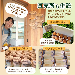 飛ぶ鳥農場 海の街たまごを使用したシフォンケーキ 1箱（8カット）