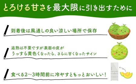 【2027年先行予約】メロン 優香メロン 約2kg × 2玉 贈答用 専用箱 ギフト フルーツ 《2027年4月中旬-4月下旬頃出荷》西川農園 熊本県 荒尾市 希少メロン 果物 熊本県産