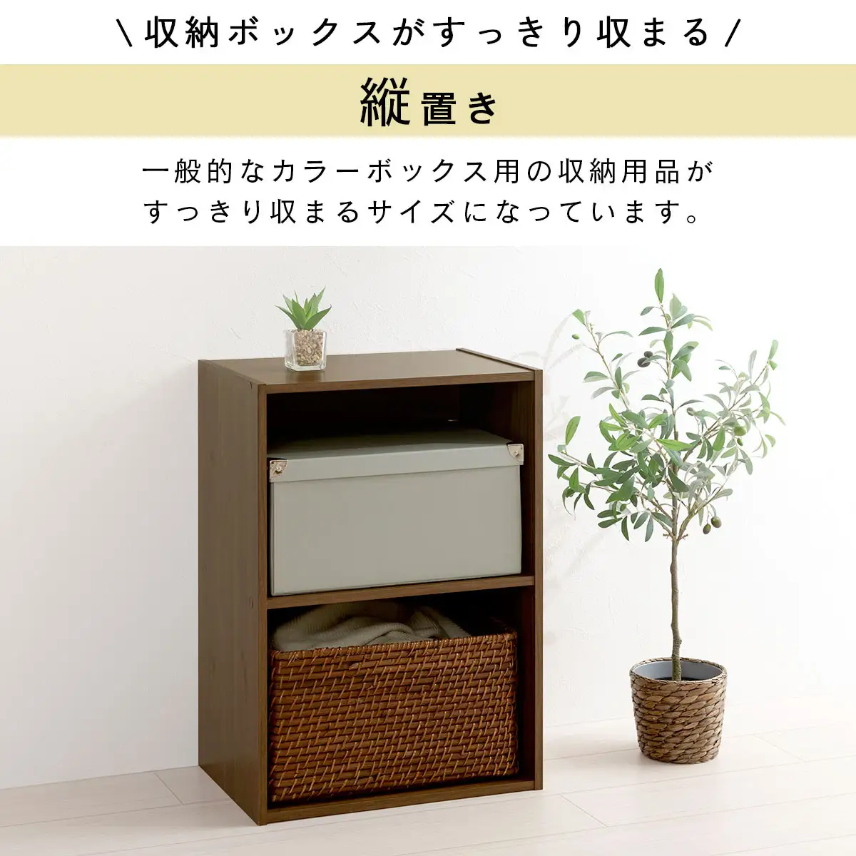 【完成品＋設置付き】カラーボックス〔2段〕（ホワイト）カラーボックス 2段 横置き a4 奥行30cm 幅40cm 高さ60cm ミニ 本棚 大容量 おしゃれ 収納棚 収納ボックス ロータイプ AKONBR920135-0-WH