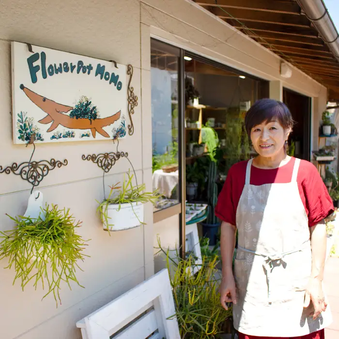センペルビウムのリース型寄せ植え【多肉植物 植物 グリーン おすすめ よせうえ 観葉植物 手植え 癒し インテリア ナチュラル かわいい 自然 プレゼント ギフト 贈り物】
