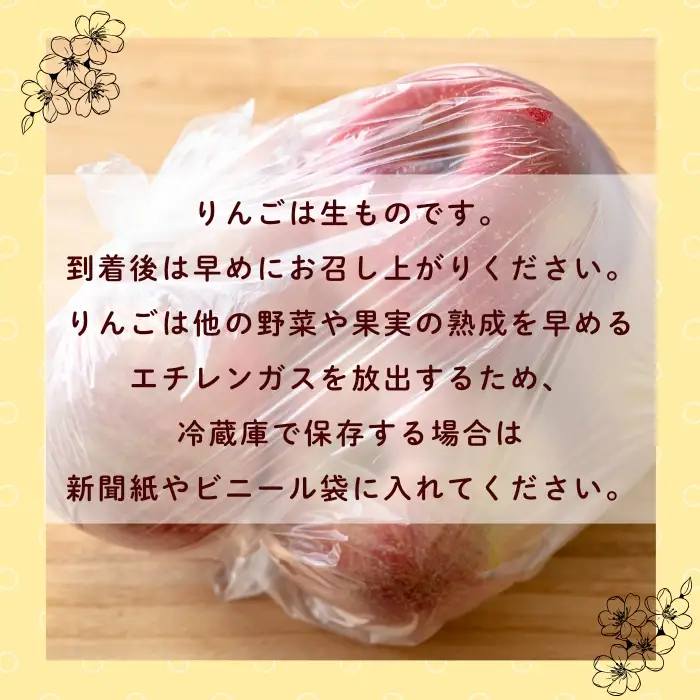 【先行予約│2026年12月中旬より順次発送】訳あり サンふじ 【約10kg(22〜46玉)】│長野県 飯山市 (At-037)