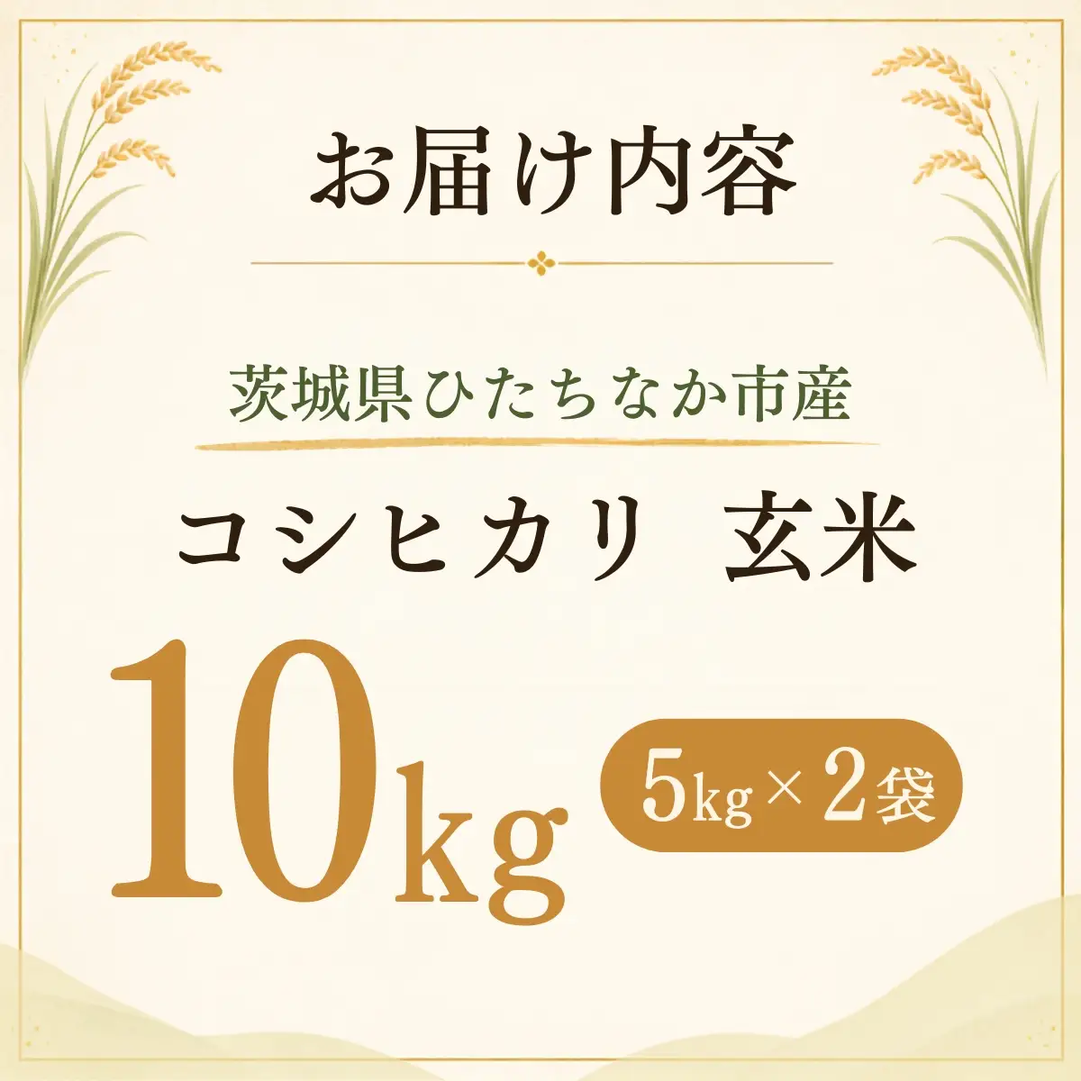 令和8年度米 コシヒカリ 玄米 10kg 農家直送 | 新米 令和8年 先行受付 期間限定 