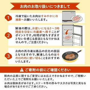小分けで便利！鹿児島県産若鶏ささみ2.5㎏(250g×10P)3ヶ月定期便 鶏肉 とり肉 鳥肉 ささみ 鳥ささみ 鶏 鹿児島県産 ヘルシー ダイエット 低カロリー 若鶏 保存 カット カット済 定期便 頒布会 小分け 真空パック t0030-029
