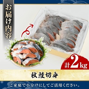 秋鮭切身(計2kg) さけ サケ シャケ しゃけ おかず おつまみ 惣菜 焼き魚 切り身 リピート 魚介類 海産物 冷凍 加工品 国内加工 加熱調理 【グローバルフーズ】akn061-10