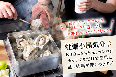 北陸産 岩牡蠣 10個 カンカン焼き セット
