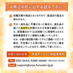 さつまいも サツマイモ シルクスイート 1kg Sサイズ 北海道産