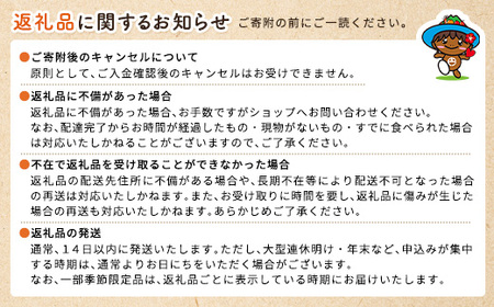 【2026年7月～9月発送】今が旬！ 完熟 アップル マンゴー ミニサイズ 1kg（8～10玉）モトキ農園 鹿児島県 奄美大島 宇検村 南国 マンゴー フルーツ 果物