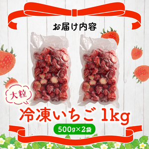 冷凍 いちご 1kg 完熟 ヘタ取り 大粒 イチゴ 苺 冷凍いちご 果物 スイーツ デザート フルーツ アイス ジャム シャーベット ベリー 氷菓  甘い オススメ 人気 滋賀県 竜王町 ひさだ苺農園