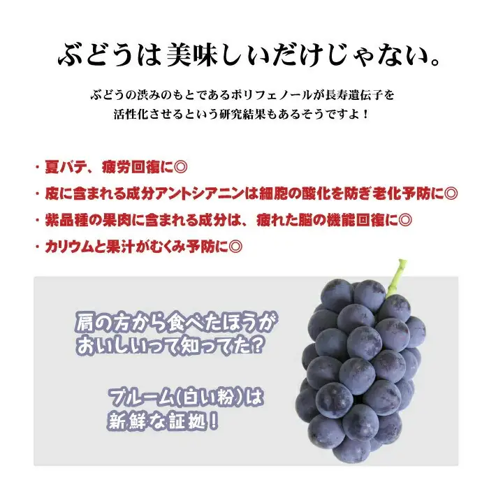 ぶどう 岡山県真庭市産 ニューピオーネ自宅用ぶどう2房 【jujy015-02】