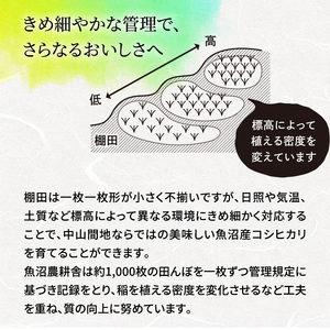【令和7年産】有機JAS認証米 米農家自慢の 魚沼産 コシヒカリ精米3kg×1袋 米 お米 こめ こしひかり 白米 有機 新潟県 魚沼市 魚沼